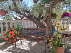 Casa vacanze l'Ulivo